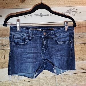 Pilcro by Anthropologie Denim Blue Women's Shorts Size 26